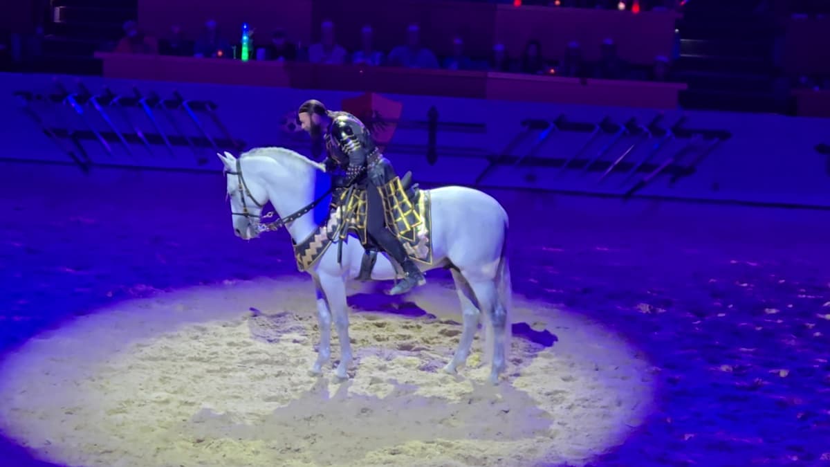 Medieval Times Dallas