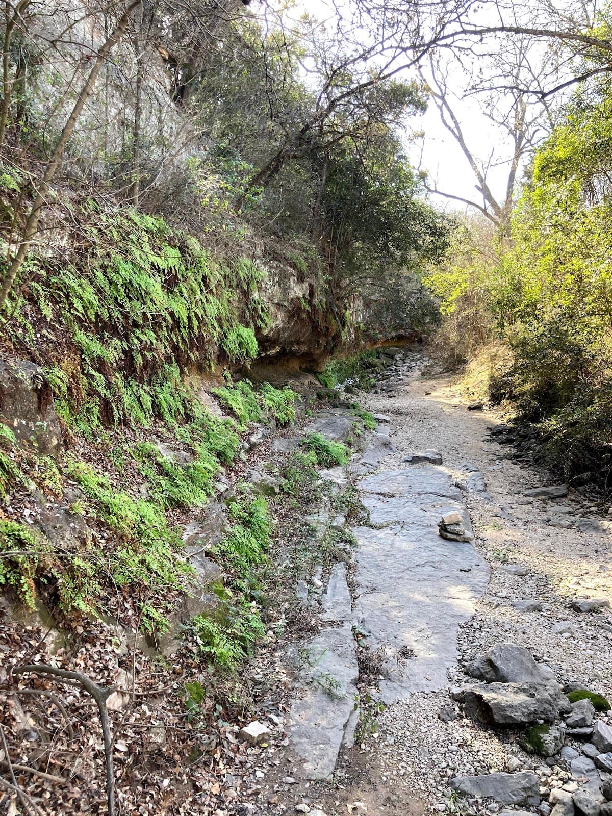 Zilker Nature Preserve