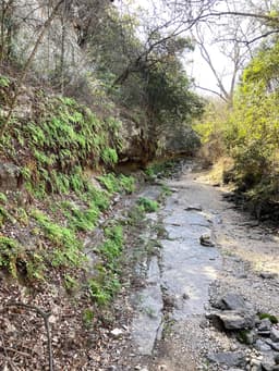 Zilker Nature Preserve