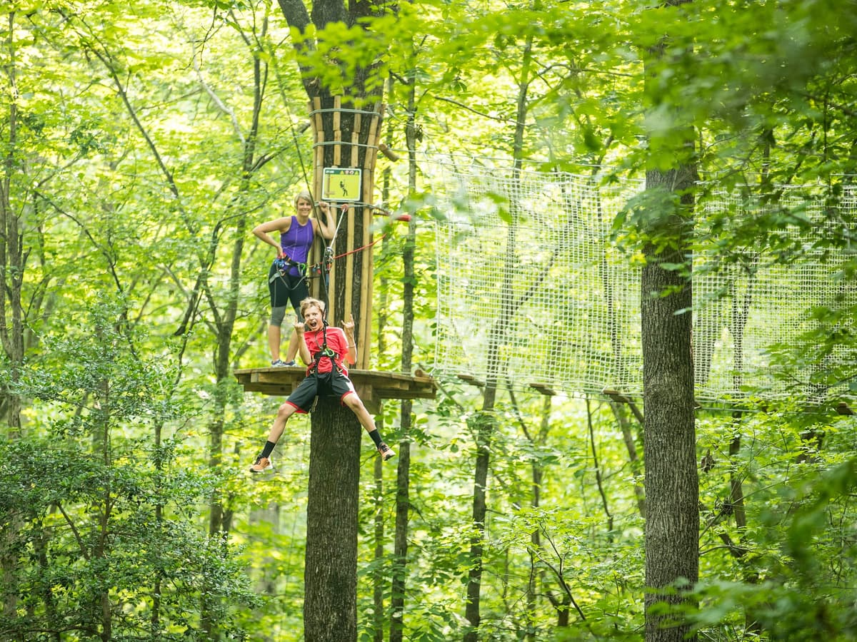 Go Ape Zipline and Adventure Park