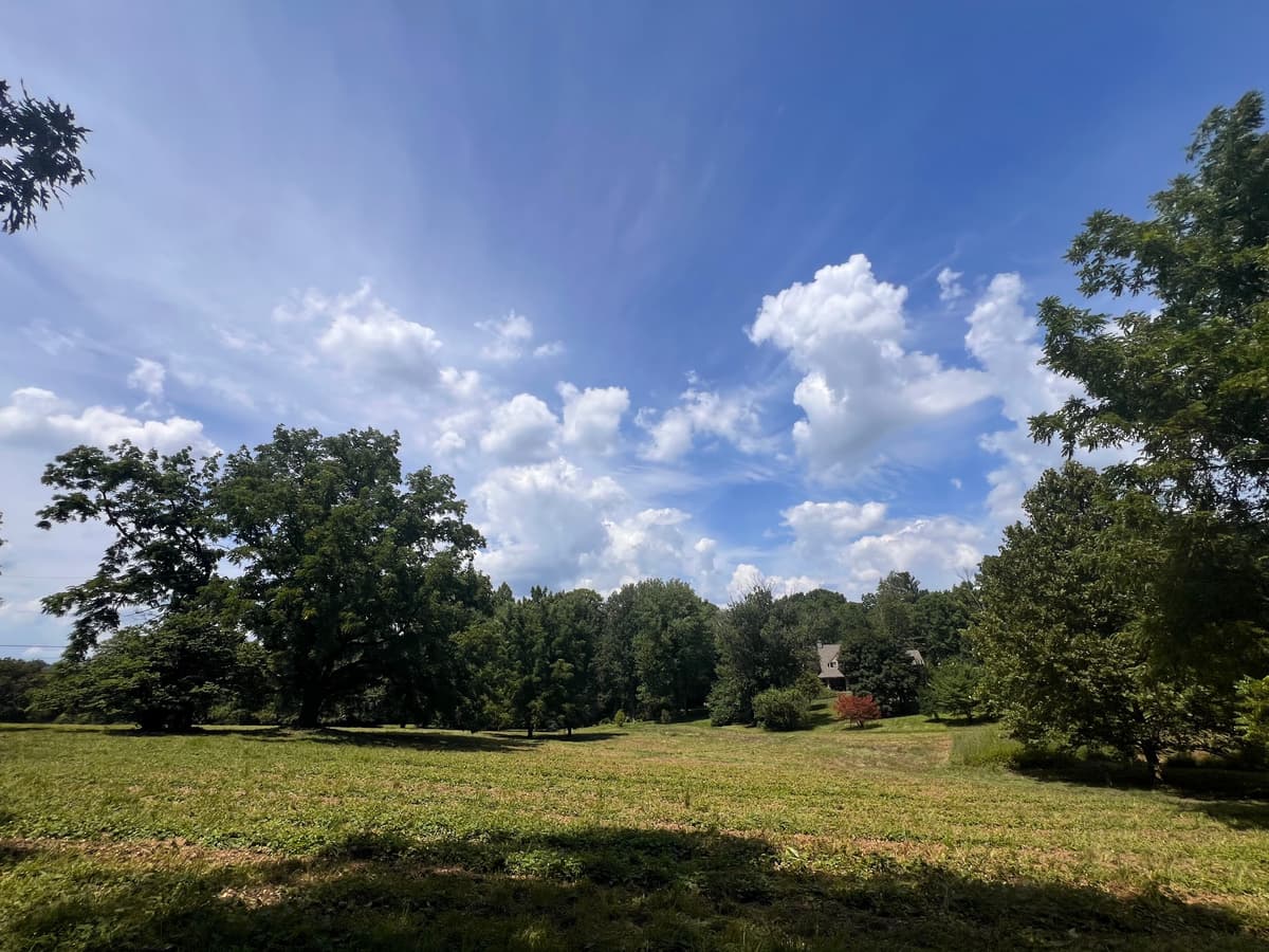 Awbury Arboretum