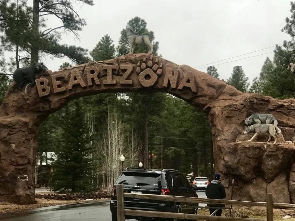 Bearizona Wildlife Park — photo 1 of 6