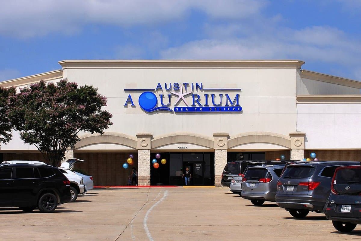 Austin Aquarium — photo 1 of 2