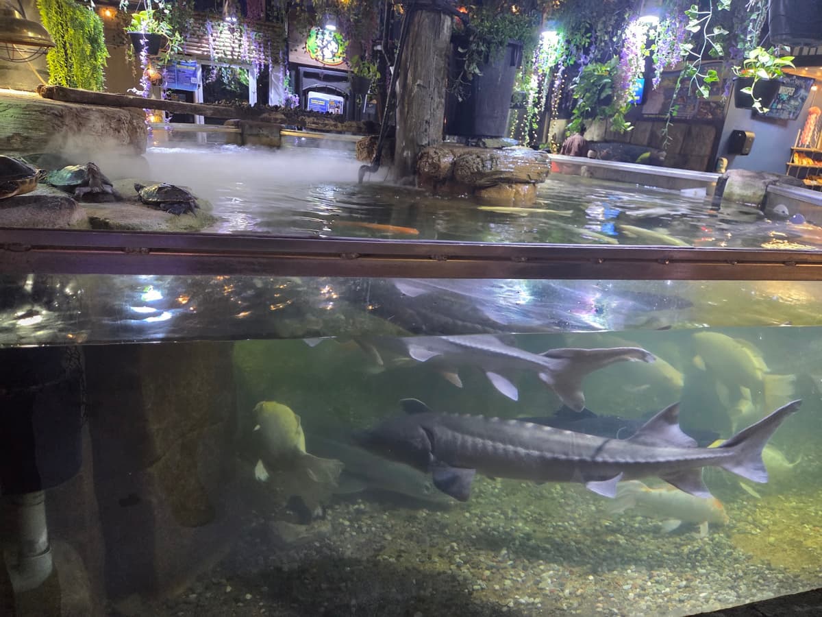 Austin Aquarium