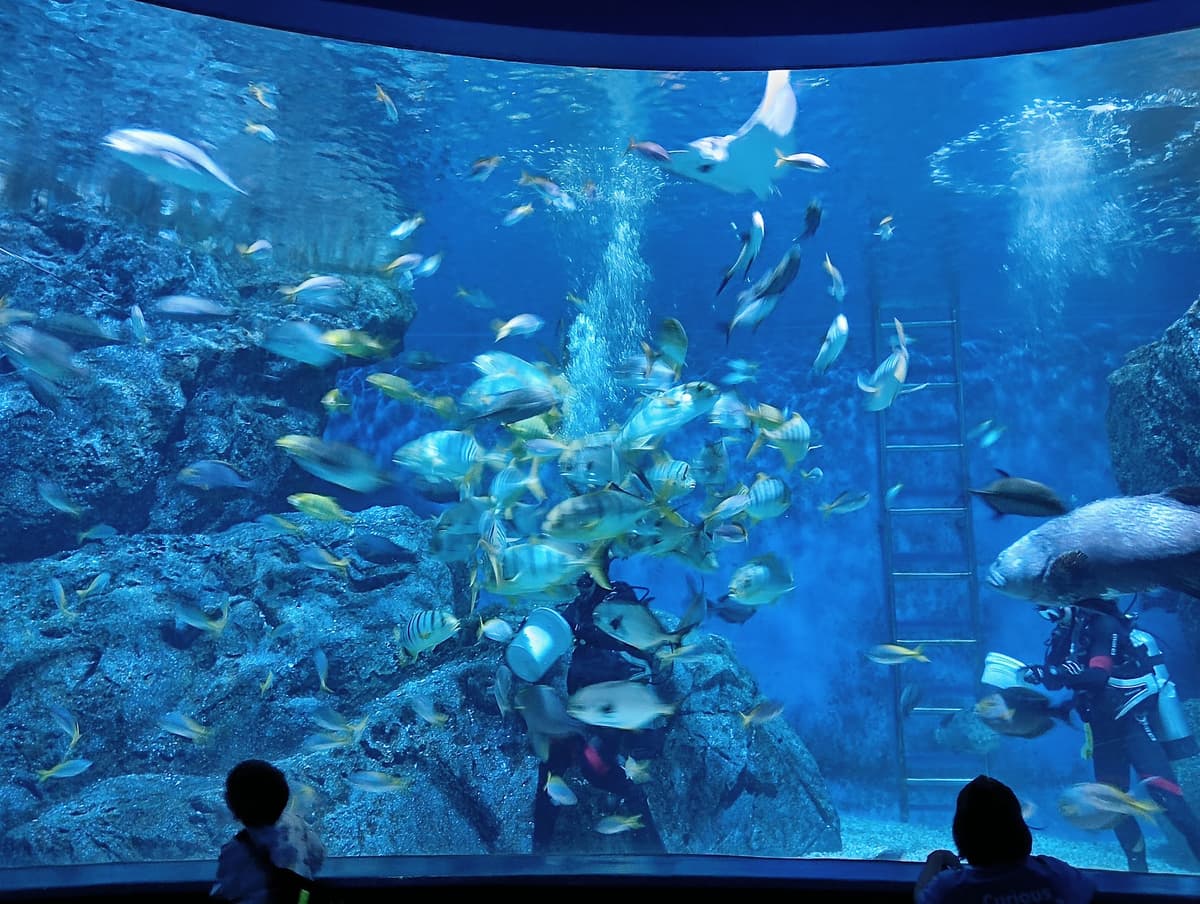SEA LIFE Bangkok Ocean World