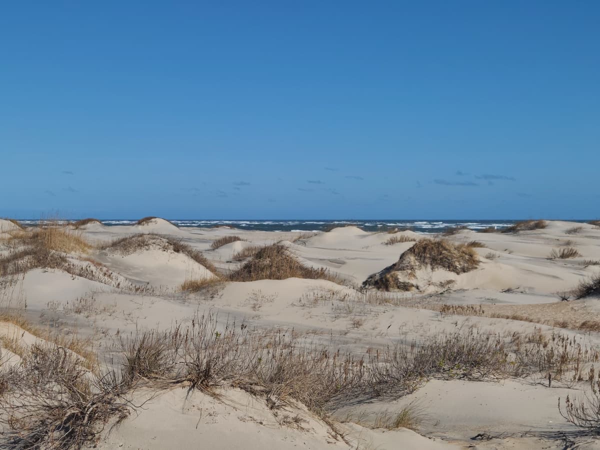 Pea Island National Wildlife Refuge