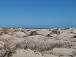Pea Island National Wildlife Refuge