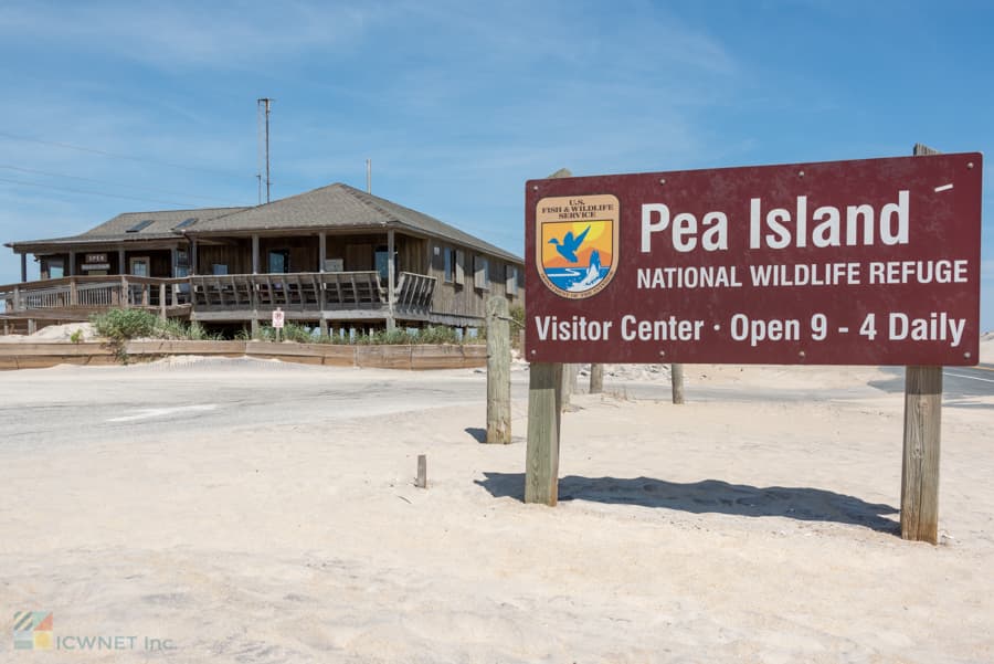 Pea Island National Wildlife Refuge