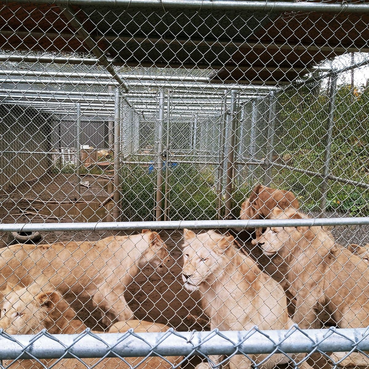 Familizoo, photo 1 of 2