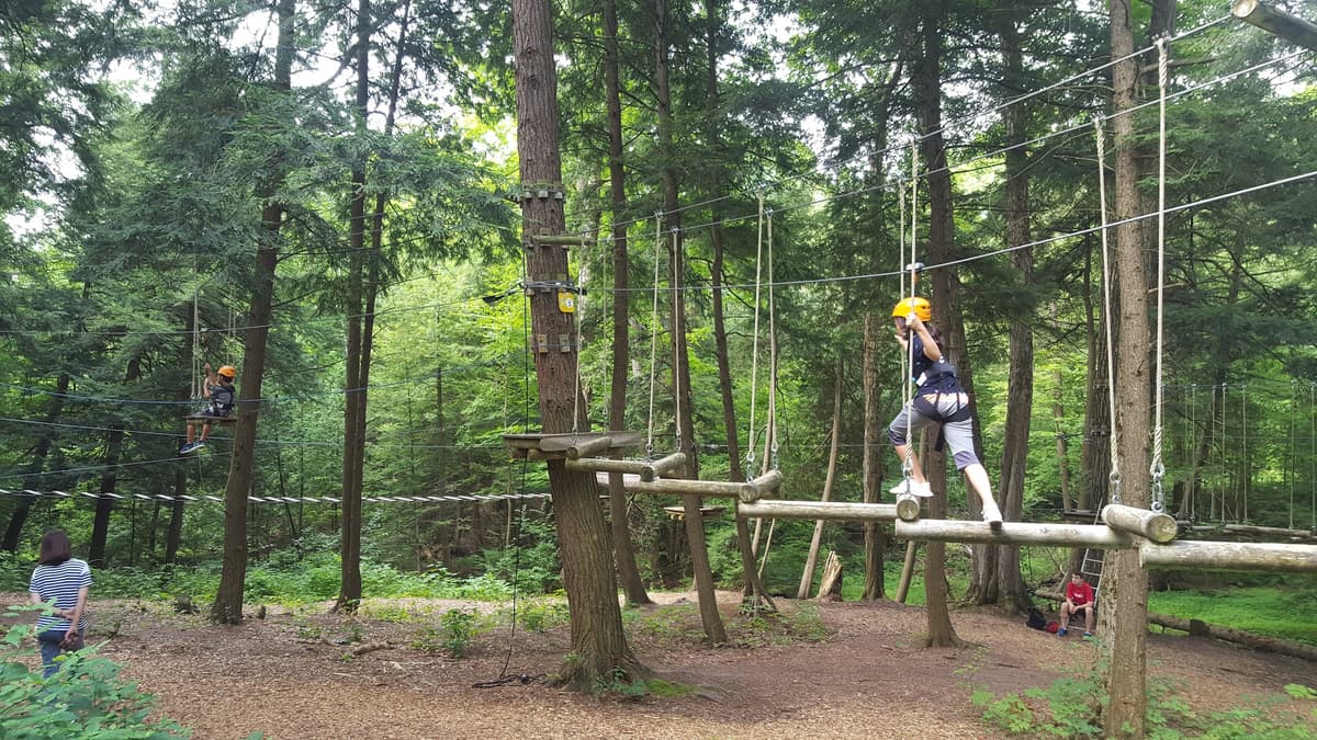Treetop Eco-Adventure Park and iBOUNCE Trampoline Park