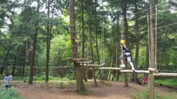 Treetop Eco-Adventure Park and iBOUNCE Trampoline Park