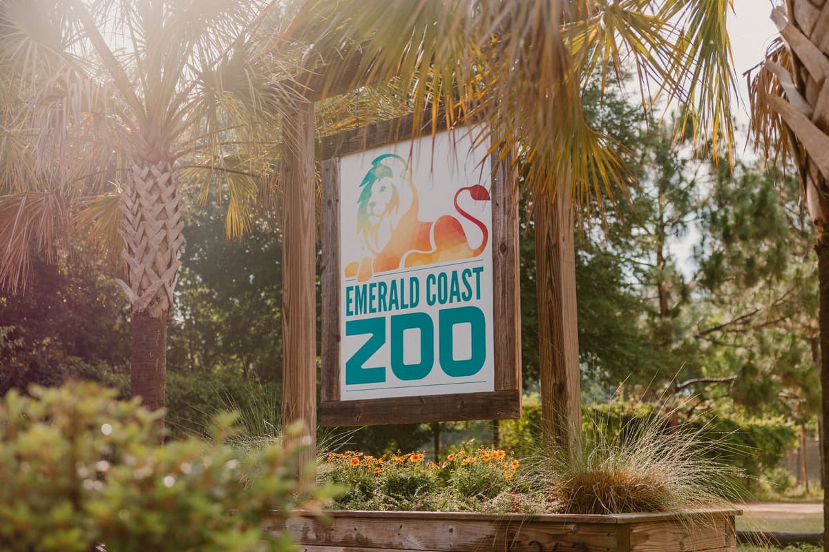 Destin Toddler Activity Guide