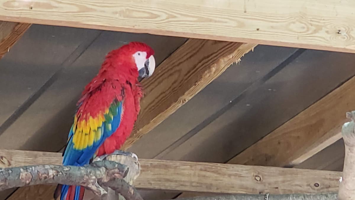 Emerald Coast Zoo