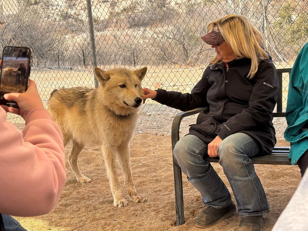 Sedona Wolf Sanctuary