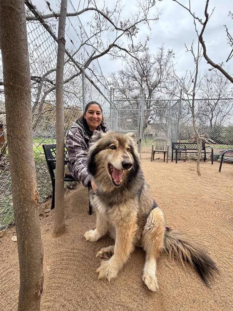 Sedona Wolf Sanctuary