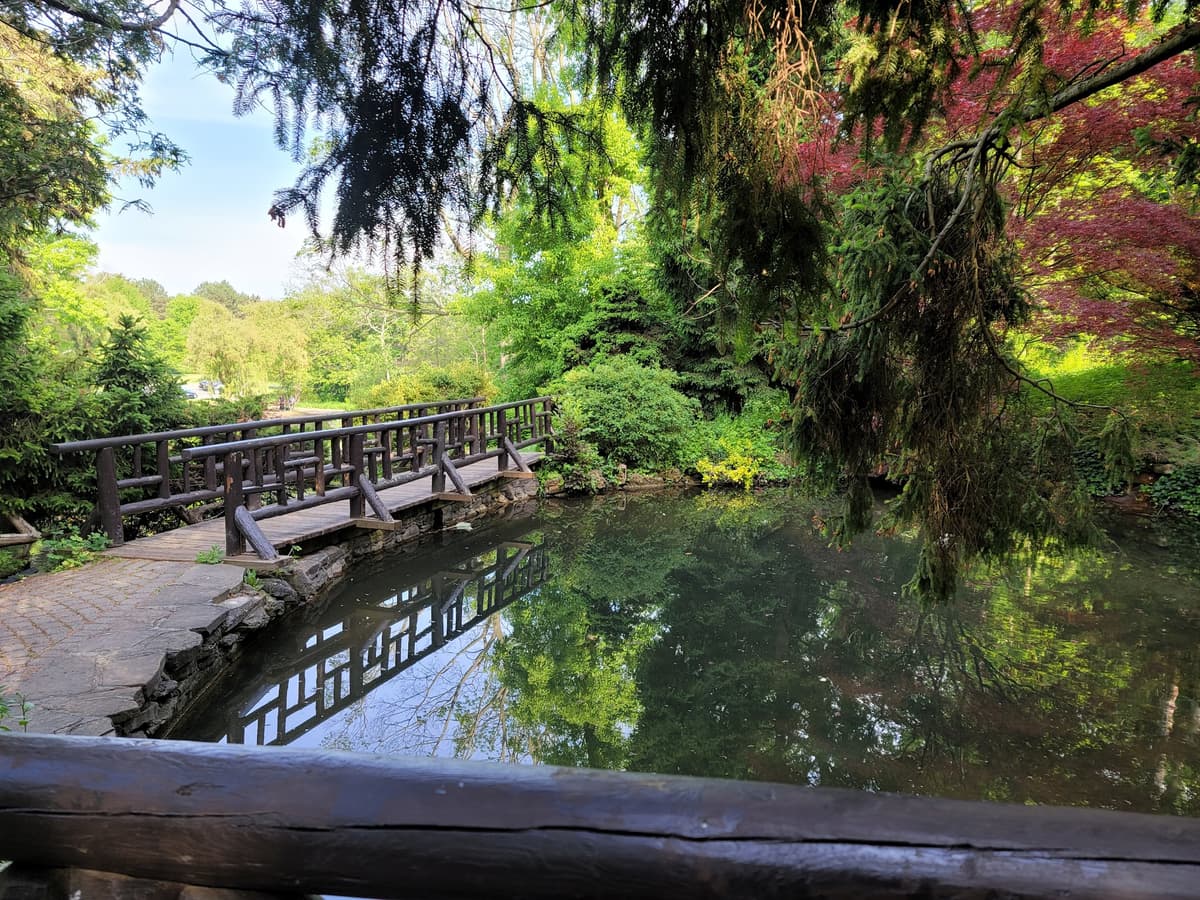 James Gardens