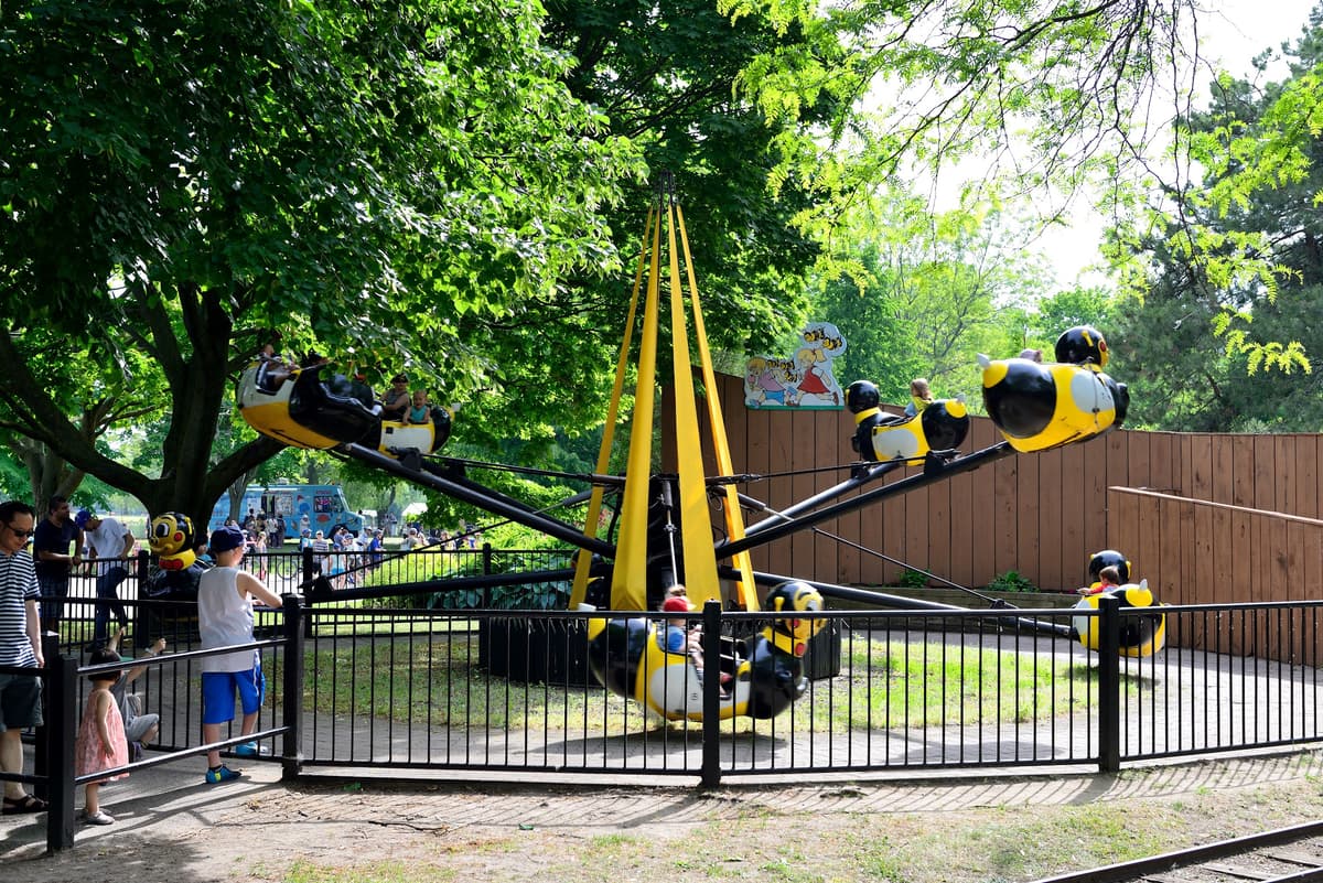 Bumble Bee Ride