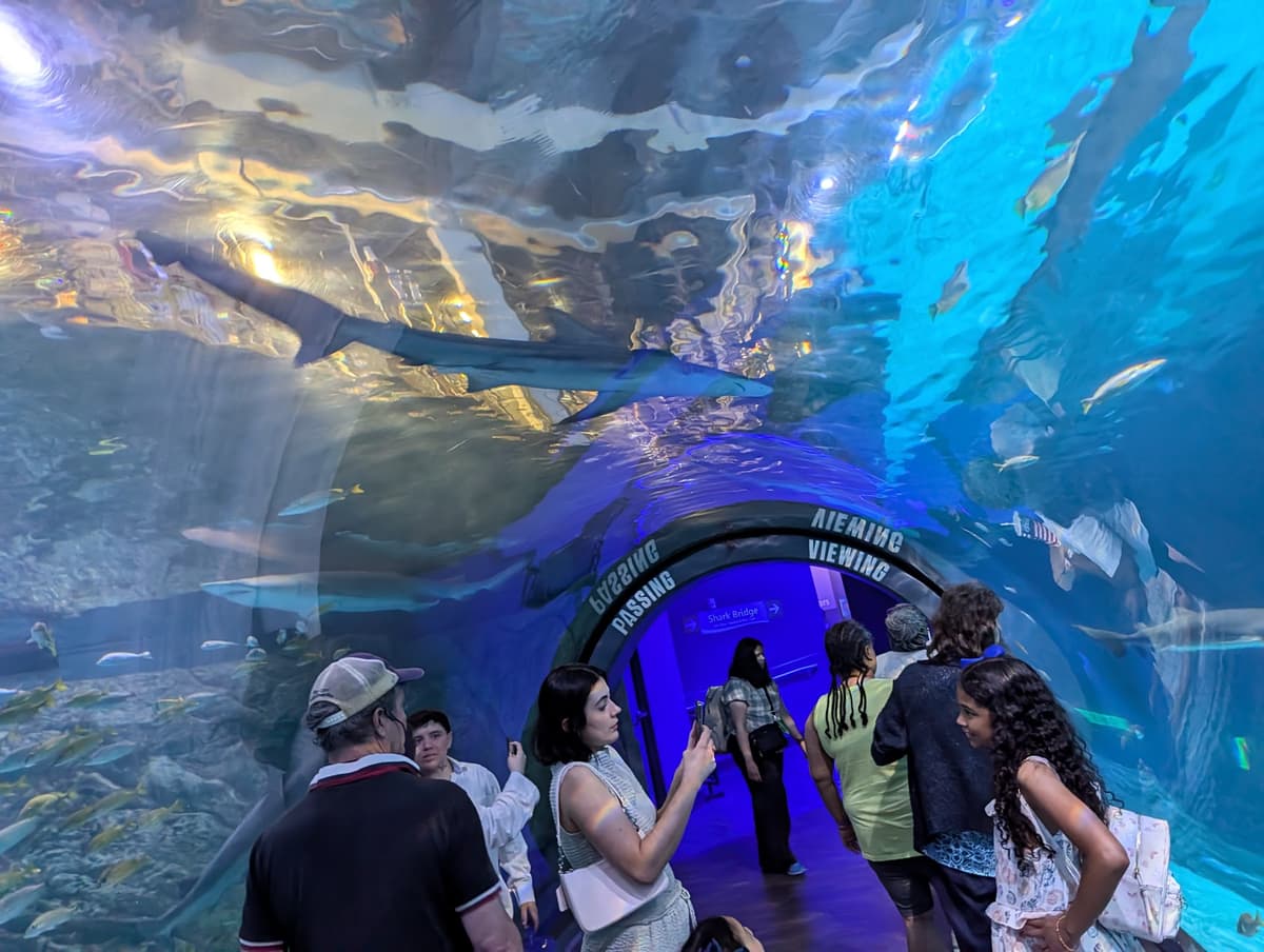 Adventure Aquarium
