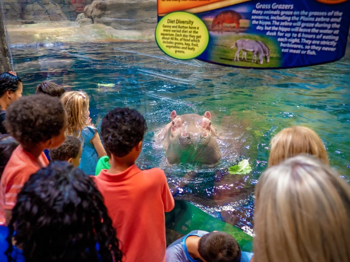 Adventure Aquarium