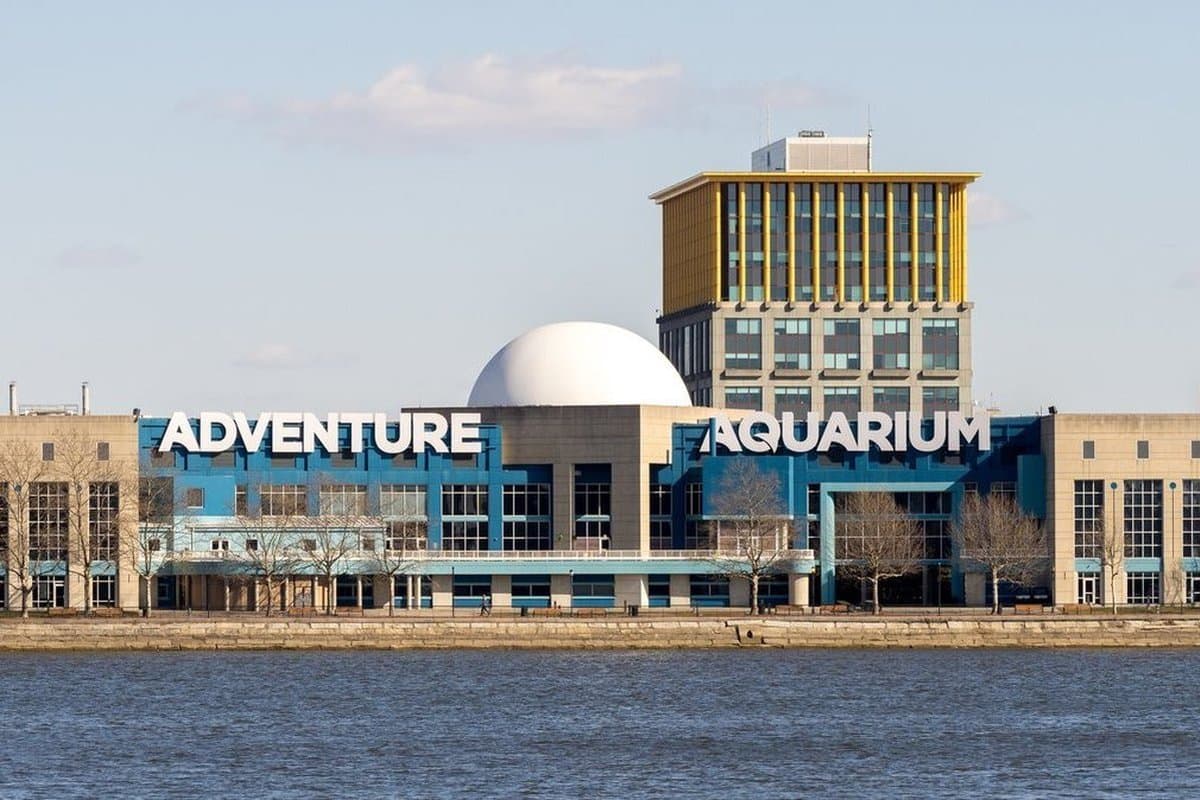 Adventure Aquarium — photo 1 of 2