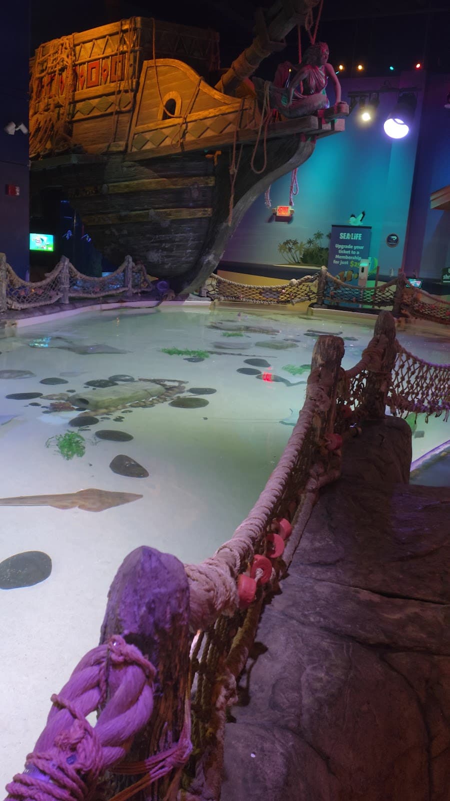 SEA LIFE at Mall of America