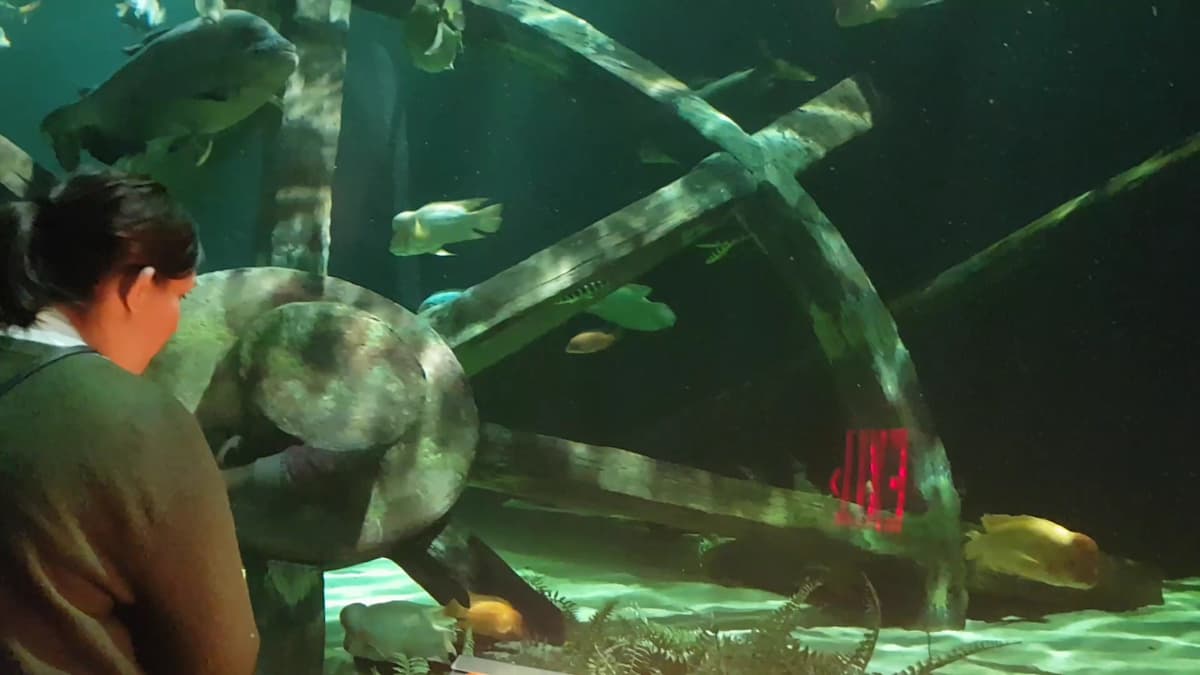 SEA LIFE at Mall of America