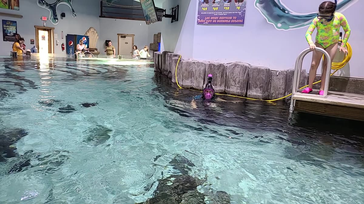 Houston Interactive Aquarium & Animal Preserve
