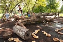 Nature Play Garden