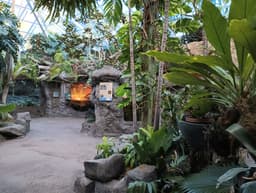 Schlessman Family Foundation Tropical Discovery