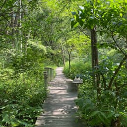 The Charlotte Partridge Ordway Japanese Garden at Como Park
