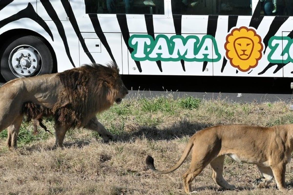 Tama Zoological Park