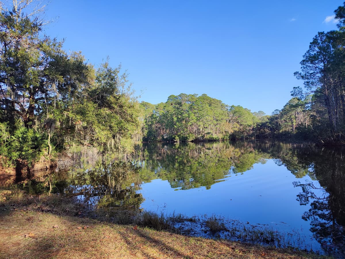 Fish Island Sea Pines Forest Preserve