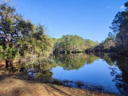 Fish Island Sea Pines Forest Preserve