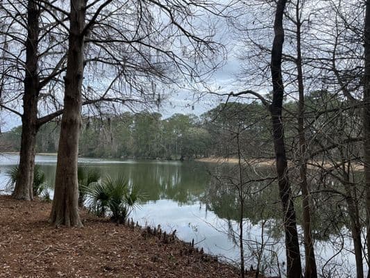 Fish Island Sea Pines Forest Preserve
