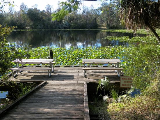 Al Lopez Park — photo 1 of 2