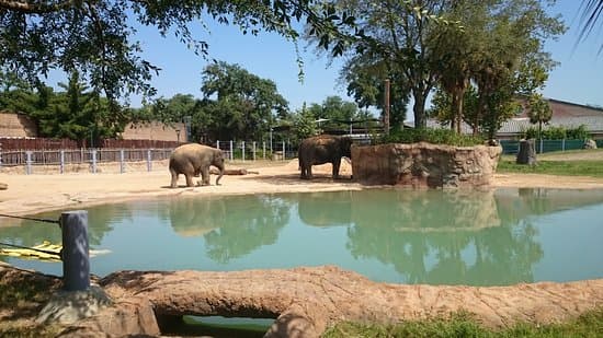 Houston Zoo