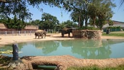 Houston Zoo
