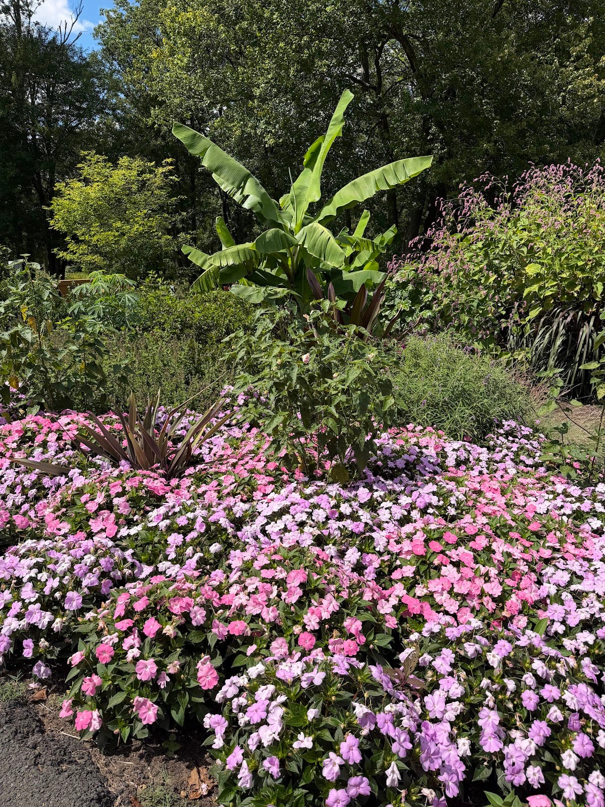 Meadowlark Botanical Gardens