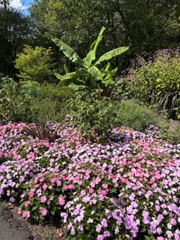 Meadowlark Botanical Gardens