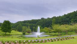 Meadowlark Botanical Gardens