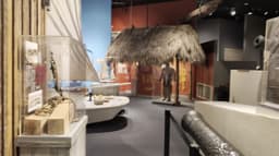 Museum of Miami