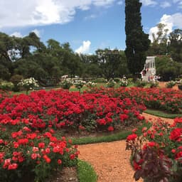 El Rosedal Garden