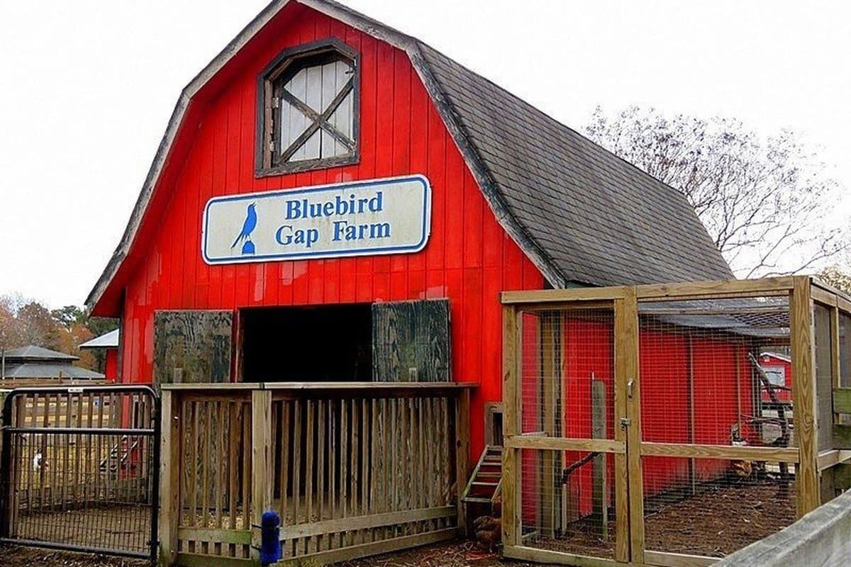 Bluebird Gap Farm — photo 1 of 6