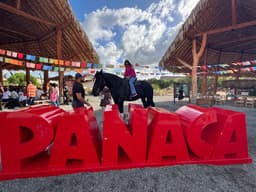 PANACA PUNTA CANA