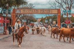 Fort Worth Stockyards