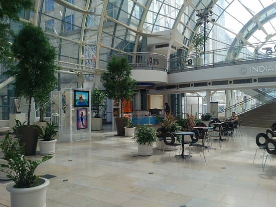 Indy Arts Council
