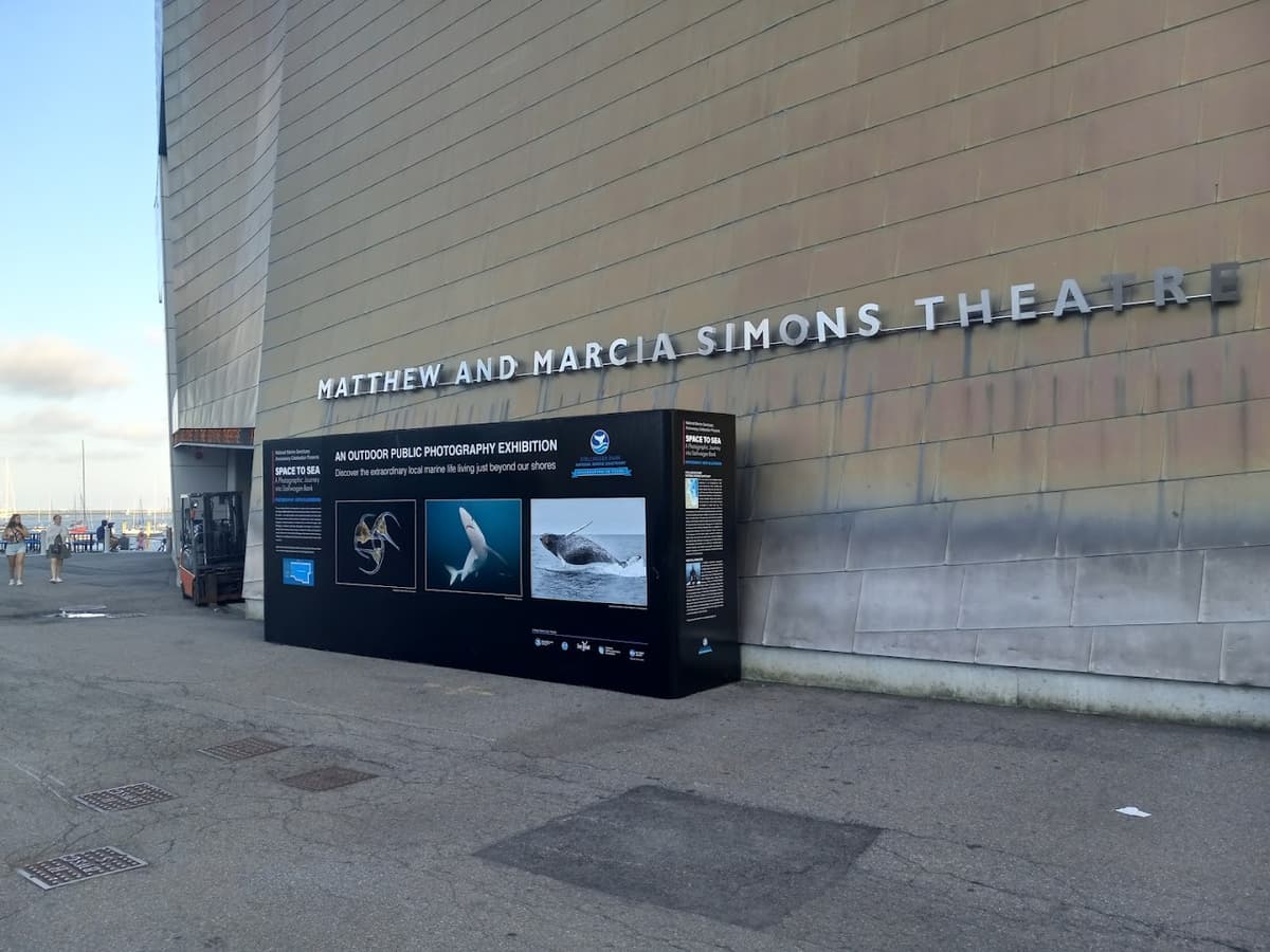 Simons Theatre