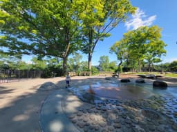 Discovery Playground