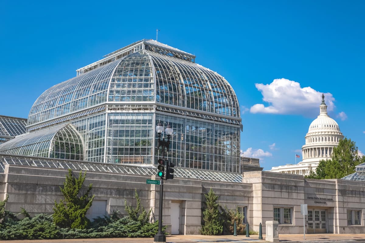 Best Washington DC Activities for Big Kids (Ages 6–12)