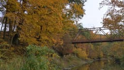 McCloud Nature Park